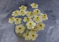 daffodils home decor online
