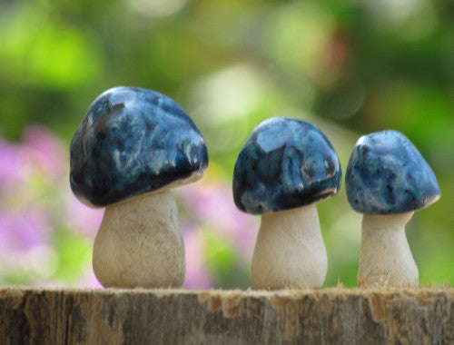 Tiny rustic ceramic mushrooms garden in variety of colors sizes and shapes