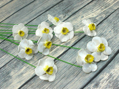 White and yellow Daffodil ceramic flowers - Ceramics By Orly
 - 4