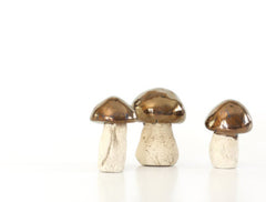 Gold mushrooms - Ceramics By Orly
 - 1