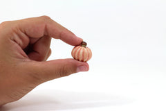 Miniature ceramic pumpkins - Ceramics By Orly
 - 5