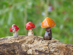 Tiny rustic ceramic mushrooms garden in variety of colors sizes and shapes - Ceramics By Orly
 - 5