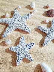 Ceramic starfish