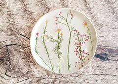 wall plates online