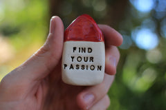 find your passion