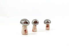 Ceramic mushrooms Home decoration Collectibles Miniatures Holidays decoration metallic decor, Wedding reception - Ceramics By Orly
 - 5