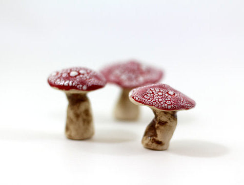 Miniature mushrooms in red and white