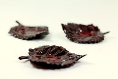 Brown and Red ceramic leaves - Ceramics By Orly
 - 5
