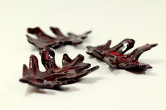 Brown and Red ceramic leaves - Ceramics By Orly
 - 2