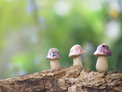 Tiny rustic ceramic mushrooms garden in variety of colors sizes and shapes - Ceramics By Orly
 - 3